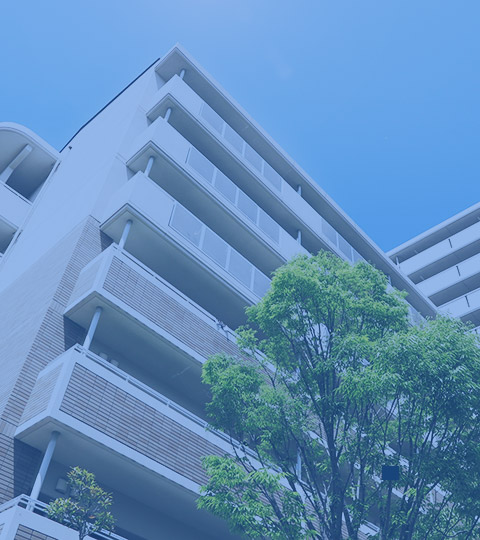 代表からのメッセージ